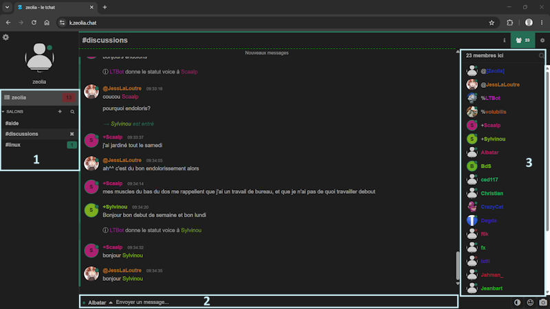Vue de l'interface kiwiirc pour zeolia.chat